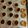 El cooksnap de Ale:v cuando hizo Pepas con harina de almendras.