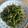 rong lee 的 蒜香長豆 cooksnap