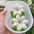 Cooksnap dari Be untuk resep Putu ayu no mixer...