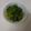Michller 的 炒菠菜 cooksnap
