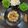 Vaishali Suhas 's cooksnap of when they made Malabar Nei Choru/Ghee rice.