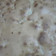 El cooksnap de Beatriz ZM Uruguay cuando hizo Torta de manzana.