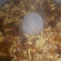 Cooksnap dari Dewi Sulistiawati untuk resep Puding karang tanpa santan (agar lumut)
