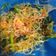 Cooksnap dari asyraf's mom untuk resep Oseng bihun jagung