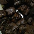 Cooksnap dari Lucia Maylani untuk resep Brownies Panggang