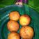 Cooksnap dari Astri Wa untuk resep Terigu goreng isi gulmer