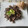 El cooksnap de Xurde cuando hizo Arroz negro con calamares y gambas.