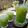 Cooksnap dari Enggal 👩 untuk resep Es Kuwut Melon Kelapa Muda
