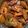 Puja Adhikary (Mistu)'s cooksnap of when they made পটল চিংড়ি(Potol chingri recipe in Bengali).