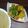Swati Bharadwaj's cooksnap of when they made আলু ফুলকপির ডালনা (aloo phulkopir dalna recipe in Bengali).