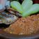 Cooksnap dari Tina Ellya Ikavatin untuk resep Sambal Penyetan Ikan panggang khas Surabaya
