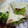 Cooksnap dari Molly Maulidar untuk resep Kebab Sapi Simple