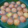 Madhu Jain का कुकस्नैप जब उन्होंने सूजी के गुलाबजामुन (suji ke gulab jamun recipe in Hindi) बनाया था।