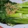 Cooksnap dari Iwie untuk resep Garlic Pokchoy