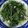 林清源 的 干貝醬炒空心菜 cooksnap