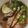 Whizzle's cooksnap of when they made Brad's Vietnamese pho.