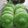 Cooksnap dari Ummu Yahya Nini untuk resep Kue Cucur awet empuk