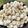 Beena Radia's cooksnap of when they made મસાલા મખાના (Masala Makhana Recipe In Gujarati).