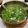 李佳芫 的 山茼蒿蛋花湯 cooksnap