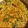 Varsha Ingole Bele's cooksnap of when they made मुंग वड्या ची भाजी (moong vadya chi bhaji recipe in marathi).