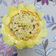 Dhara Kiran Joshi's cooksnap of when they made ખજૂર ના લાડુ.