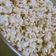 Cooksnap dari you know untuk resep Popcorn manis & asin