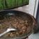 Cooksnap dari Nana Abdullah untuk resep Sambal Pecak
