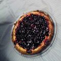 jessy1234's cooksnap of when they made Mini Lemon and Blueberry Cheesecake Cupcakes.