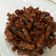 Cooksnap dari selamet haer untuk resep Tempe orek goreng kering Ala betawi