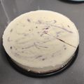 El cooksnap de Mónica Santos cuando hizo Cheesecake de chocolate blanco y arándanos.