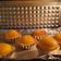 Cooksnap dari Dewi Setyorini untuk resep Portuguese Egg Tart
