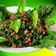 صورة من دلال فاتح ، شاركها بعد تجربة وصفة تبولة 😍🍅🌿🍋