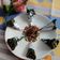 Dipti Mehrotra का कुकस्नैप जब उन्होंने चॉकलेट पान (Chocolate pan recipe in hindi) बनाया था।