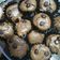 Cooksnap dari Dinda Ayu untuk resep Brownies cup kering crunchy |no mixer