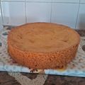 El cooksnap de Cecilia Virlee cuando hizo Bizcochuelo Perfecto: TIP’s y secretos.