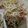 Cooksnap dari Ricky Hartanto untuk resep Tumis Toge Jambal Roti