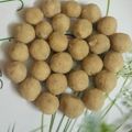 Samita Sar's cooksnap of when they made নারকেল নাড়ু (narkel naru recipe in Bengali).