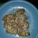 Cooksnap dari novi setyaningsih untuk resep Nugget Pisang crispy
