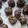 El cooksnap de Mariano Iván Muñoz cuando hizo Trufas con chocolinas.