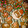 El cooksnap de superninito cuando hizo Galletas navideñas de canela y jengibre by Gaby.