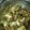 楊韻蹄 的 麻婆豆腐 cooksnap