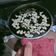 Cooksnap dari Beautyfullgirl01 untuk resep Brownies fudgy shiny glowing wkkwkwkw
