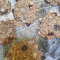 El cooksnap de Silvia Rodriguez cuando hizo Galletitas de avena y chocolate amargo 🍪❤️.