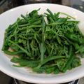 月薪嬌妻 的 炒龍鬚菜 cooksnap