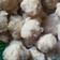 Cooksnap dari Bunda Bian 💕 untuk resep Bakso Ayam
