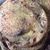 Cooksnap dari Narty Abdullah untuk resep Roti Maryam coklat takaran sendok