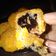 Cooksnap dari euis rahayu untuk resep Bola Bola Pisang Coklat Ala Nat-Nat