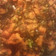 mslewis88's cooksnap of when they made Kale with Squash And Onion.