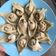 Cooksnap dari Diana Lokan untuk resep Pangsit babi rebus dan goreng