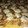 El cooksnap de Ale Paul cuando hizo Masa de papa, ideal empanadas y tartas.